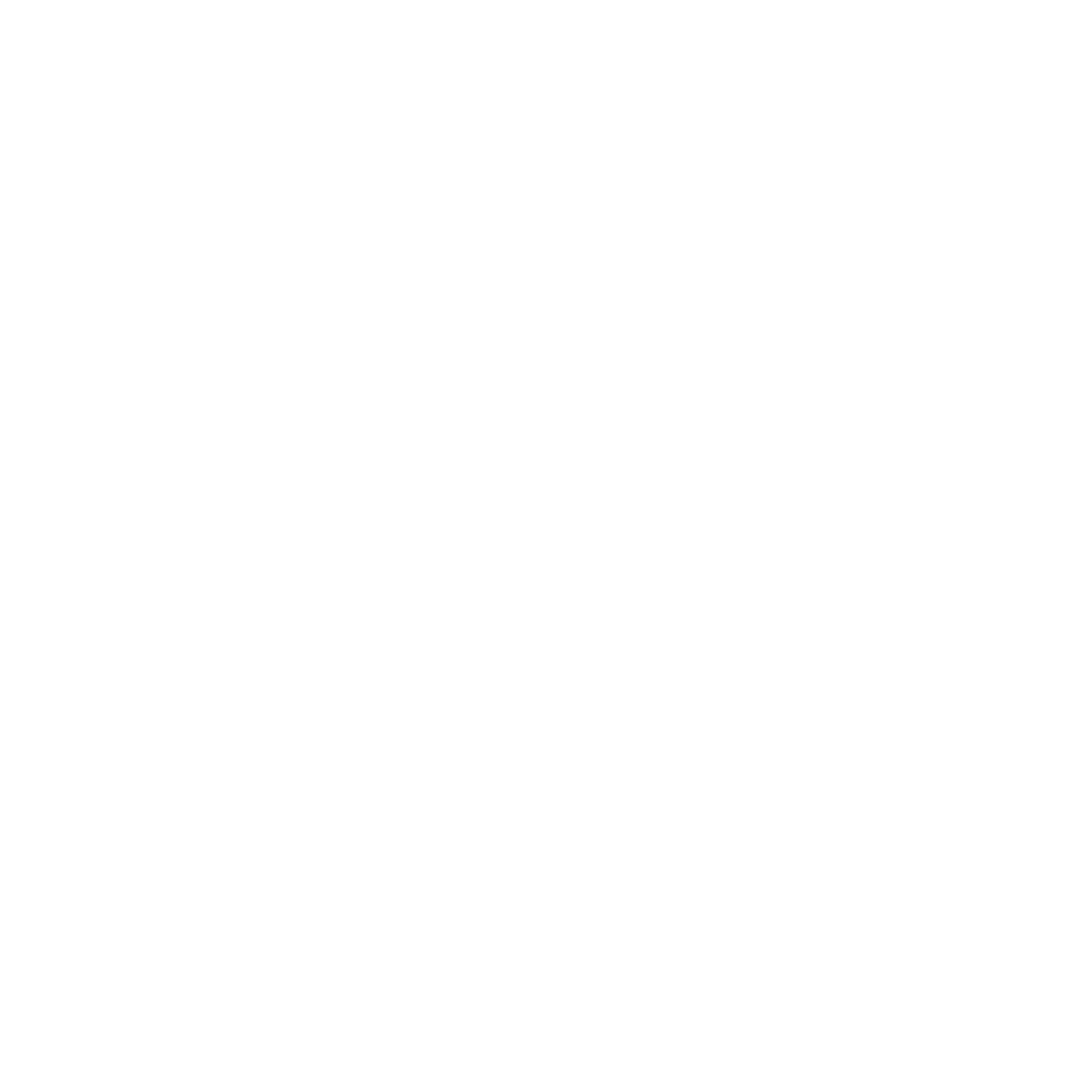 Logo – white